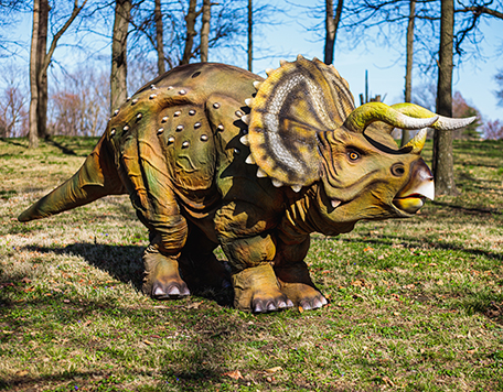 A life-like costume of a triceratops posing outdoors.