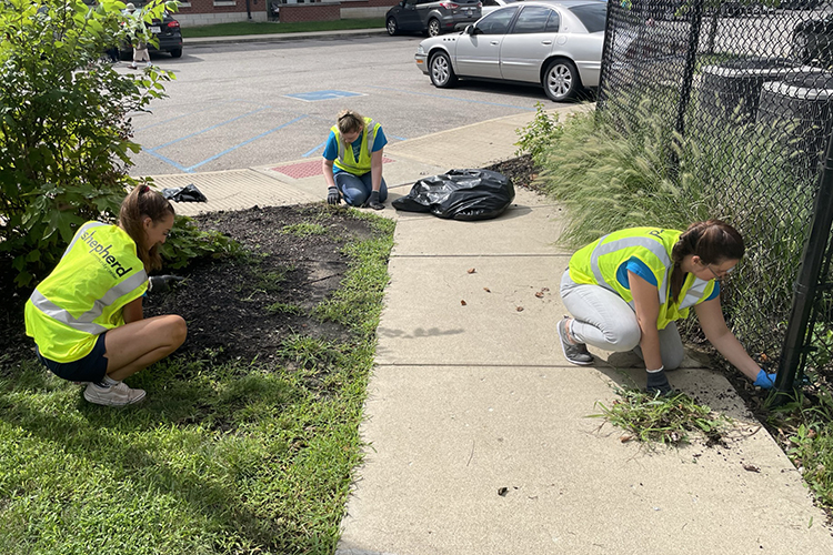 Three women wearing bright vests kneel to pull weeds near a parking lot.