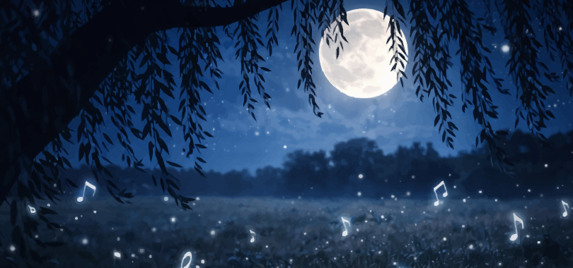 A Little Night Music