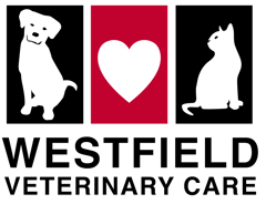 Westfield Veterinary Care